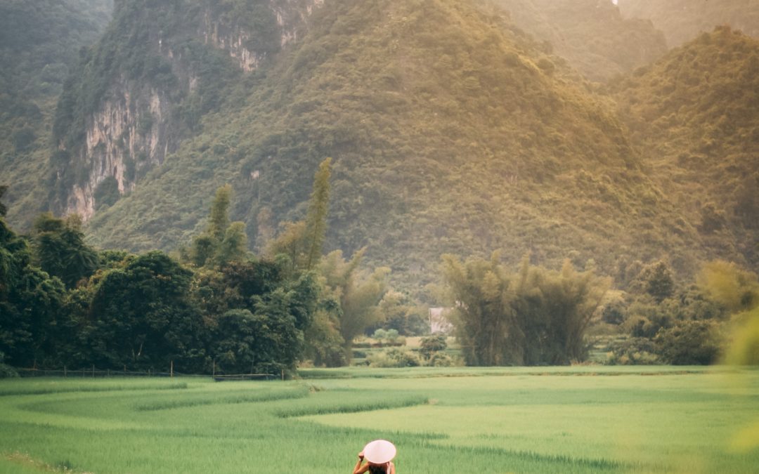 The Power of Lighting: How to Create Dramatic Effects in Your Photos